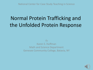 Normal Protein Trafficking and the Unfolded Protein Response