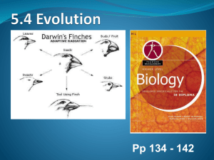 Topic 5.4 Evolution - IBDPBiology-Dnl