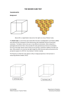 NECKER-CUBE-FINAL1-3 - CensusAtSchool New Zealand