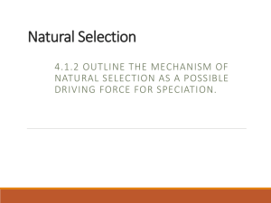 4.1.2 Natural Selection PPT