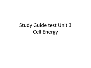 Study Guide test Unit 3 Cell Energy