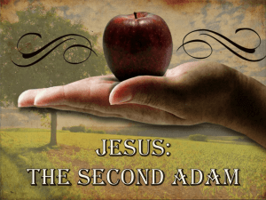 ADAM-AND-JESUS-rewrite