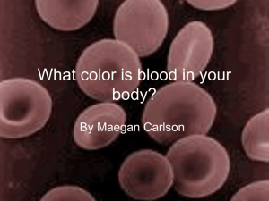 What color is blood in your body?