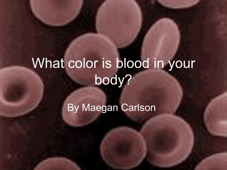 What Color Is Blood In Your Body 