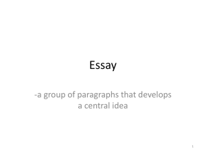 Essay