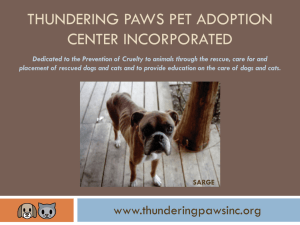 to view Thundering Paws Power Point Presentation