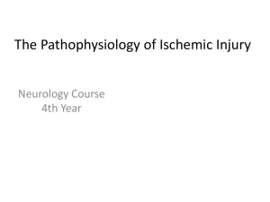 The Pathophysiology of Ischemic Injury