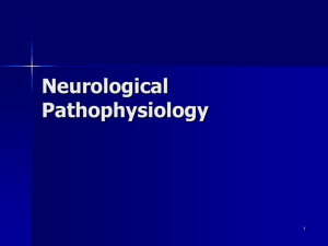 Neurological Pathophysiology Chap 20