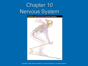 CHAPTER - 07 Urinary System