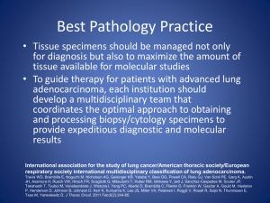 Best Pathology Practice
