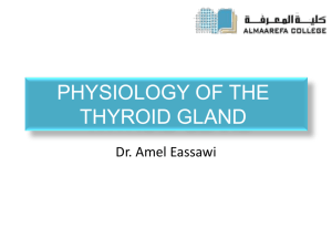 Thyroid Gland Autoregulation