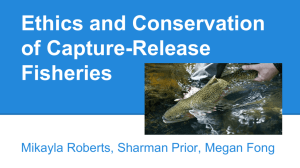 Ethics and Conservation of Capture-Release Fisheries