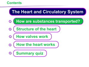 KS4 Heart and Circulatory System