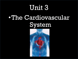 Cardiovascular Presentation - West-MEC