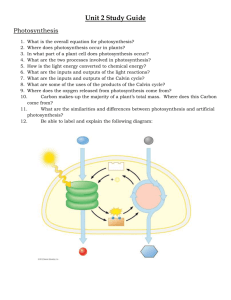 Unit 2 Study Guide Photosynthesis