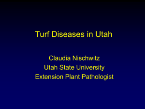 Turf Diseases (9mbx)