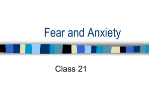 class 20 fear and anxiety