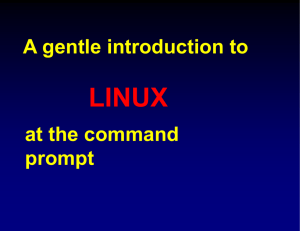 A gentle introduction to LINUX at the command prompt Overview