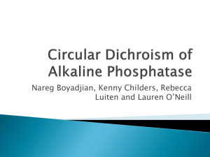 Circular Dichroism of Alkaline Phosphatase