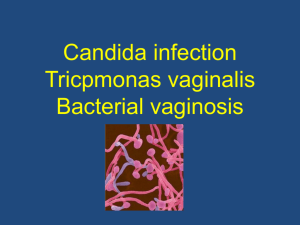 01Candida infection