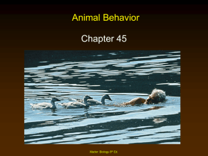 Chapter 43 Behavior Notes