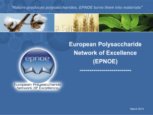 European Polysaccharide Network of Excellence (EPNOE)