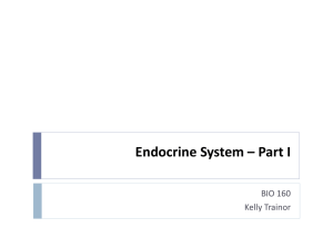 Endocrine System – Part I