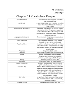 Barron's Ch 11 Vocabulary