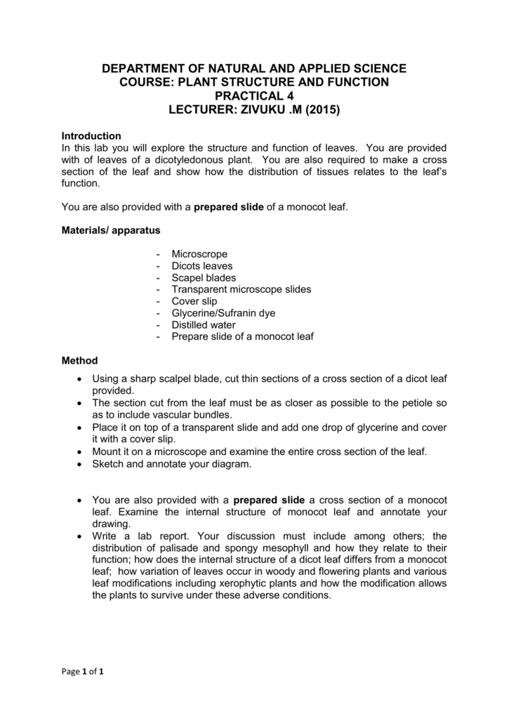 Practical 4 Leaf Structure And Function