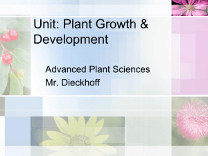 Plant Parts, Structures, and Functions PowerPoint
