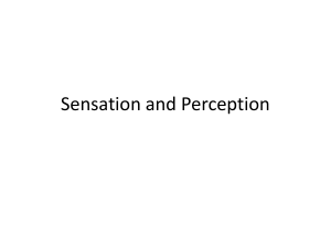 Sensation and Perception - Reading Community Schools