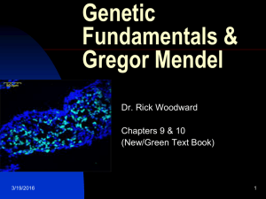 Click Here for Lecture PowerPoint "Mendel & Genetics"