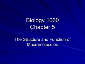 Biology 1060 Chapter 5
