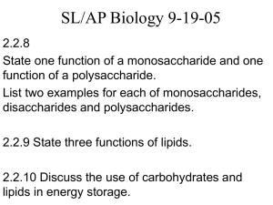 SL/AP Biology 9-19-05