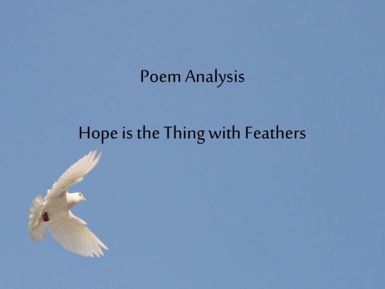 poem analysis essay hope is the thing with feathers