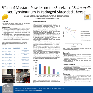 Pokhrel_Dipak_E val_Salmonella_Cheese