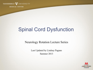 Spinal Cord Dysfunction