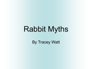 Rabbit Myths
