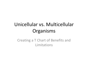 Unicellular vs. Multicellular Organisms