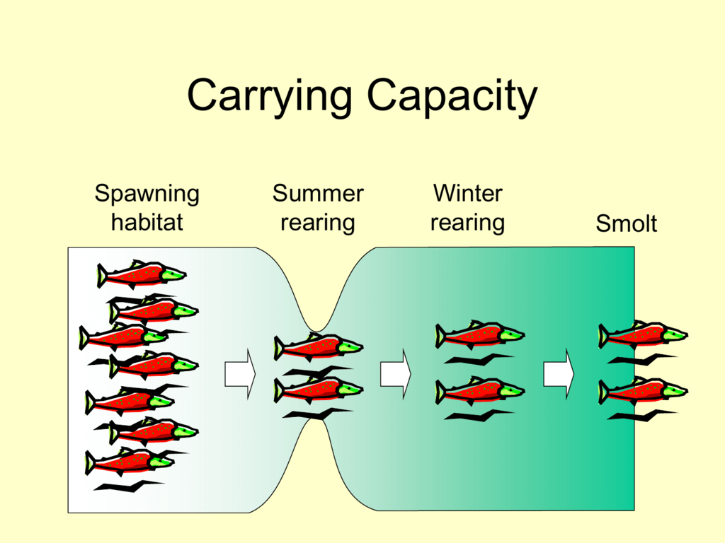 Carrying или carring. Carrying capacity. Carring или carrying. Carrying capacity animals. Capacity Definition.