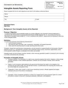 Intangible Assets Reporting Form