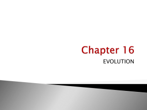 Chapter Sixteen: Evolution
