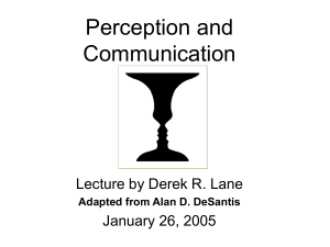 Lecture of Perception
