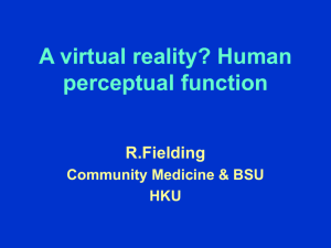 A virtual reality? Human perceptual function
