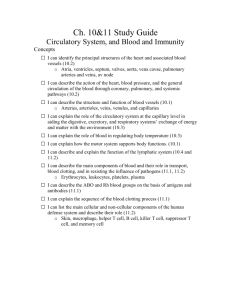 Circulatory Study Guide