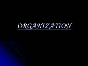 ORGANIZATION