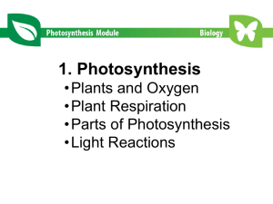 Biology Photosynthesis Part I Lecture