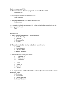 Exam review worksheet for 9/23