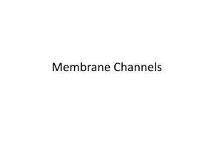 Membrane Channels