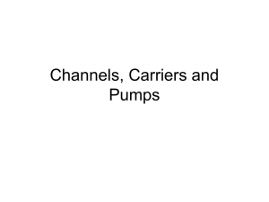 Channels, Carriers and Pumps